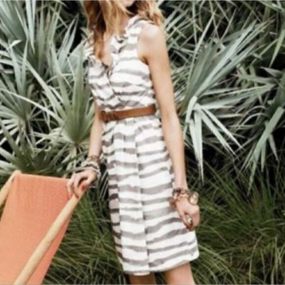Banana Republic Zebra Print Cotton Dress with Ruffled V Neck NWT - Picture 9 of 11
